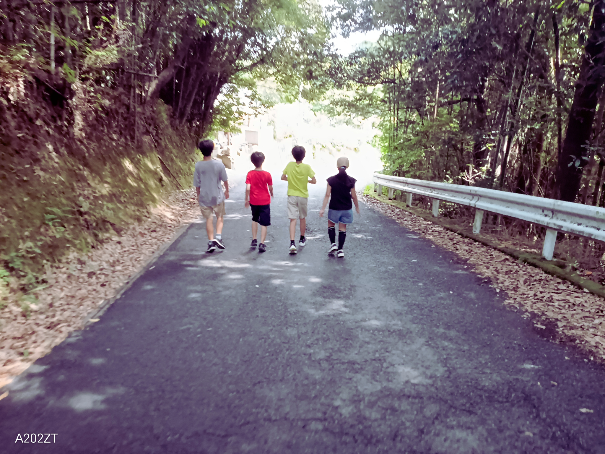鹿児島の通学路
