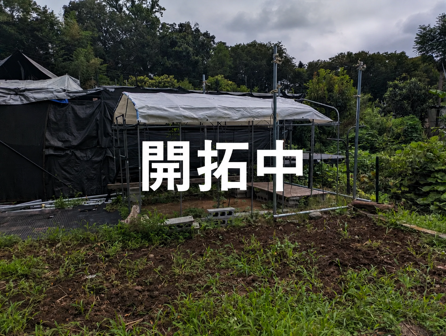 comaの庭 開拓中